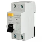 Fusebox TYPE A 100A 100mA 2P RCD