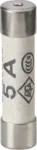 K/Bridge 5A Fuses