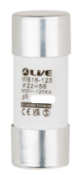 Liveelec Fuse 80A 22x58mm