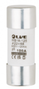 Liveelec Fuse 100A 22x58mm