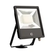 Collingwood 100W Colour Switchable Floodlight, IP65, Standard