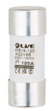 Liveelec Fuse 100A 22x58mm