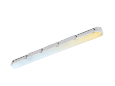 Aurora LinearPacCWS™ 2ft IK10 IP66 Anti-Corrosive