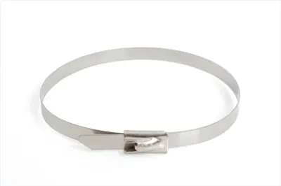Termtech 200mm Long, 4.6mm Wide, Ball Lock Tie Stainless Steel