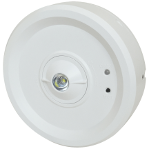Eterna SESMDLEM3 Emer LED Downlight 3W