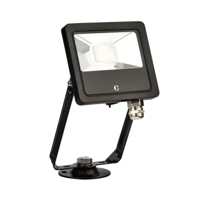 Collingwood 10W colour switchable floodlight Black