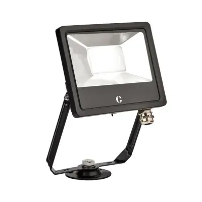 Collingwood 30W Colour Switchable Floodlight, IP65, Standard