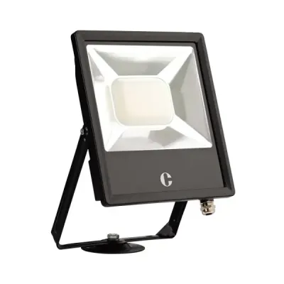 Collingwood 100W Colour Switchable Floodlight, IP65, Standard